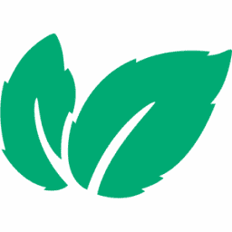 Mint Energie